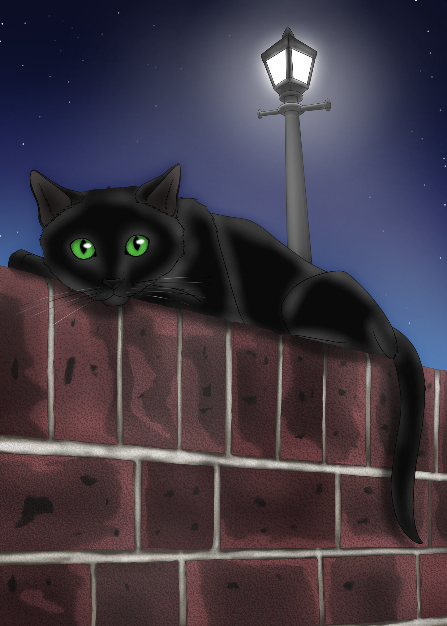 Black Cat