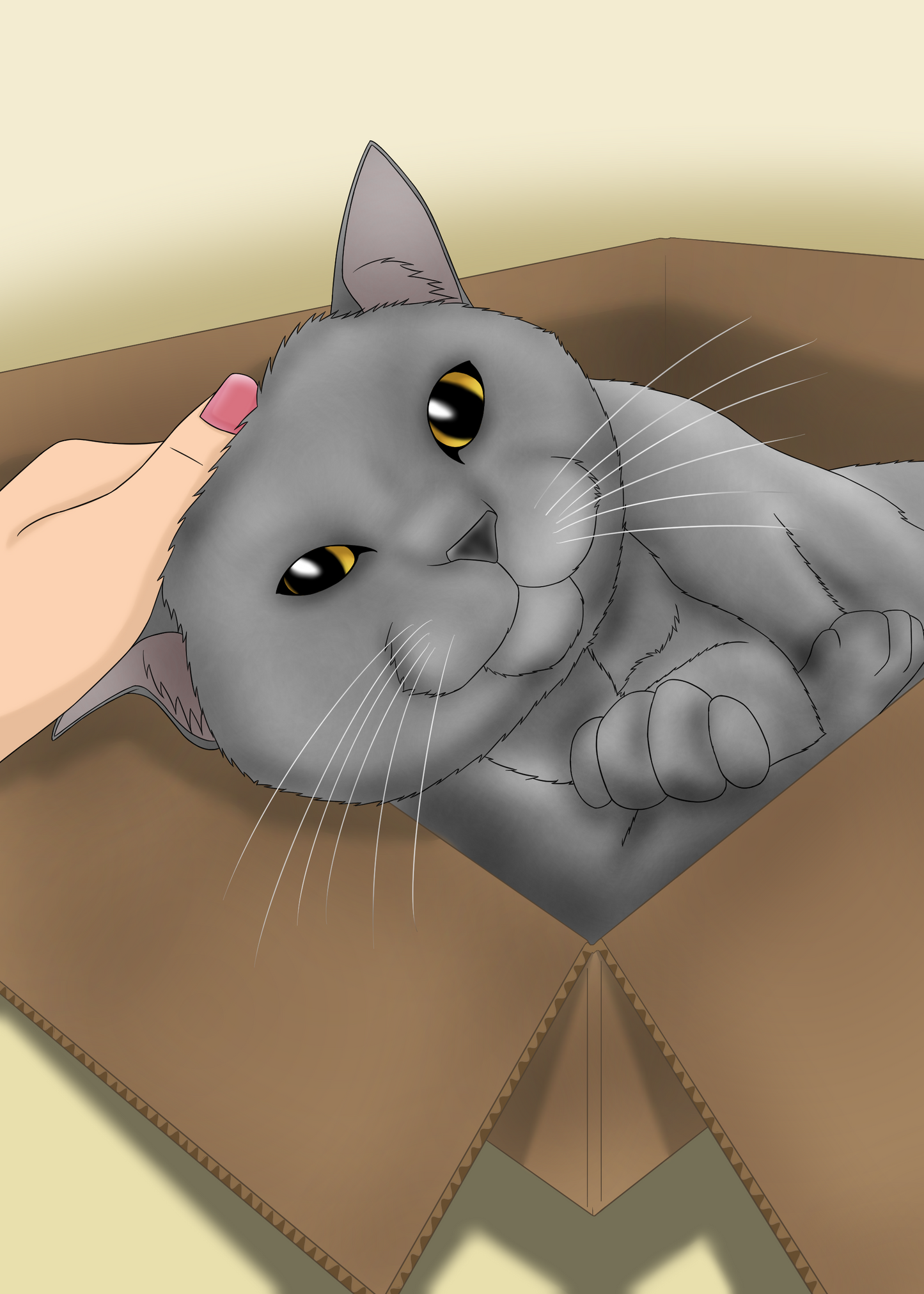 British Shorthair
